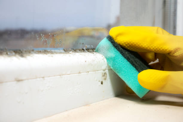 Mold Remediation for Rental Properties in Heath, TX